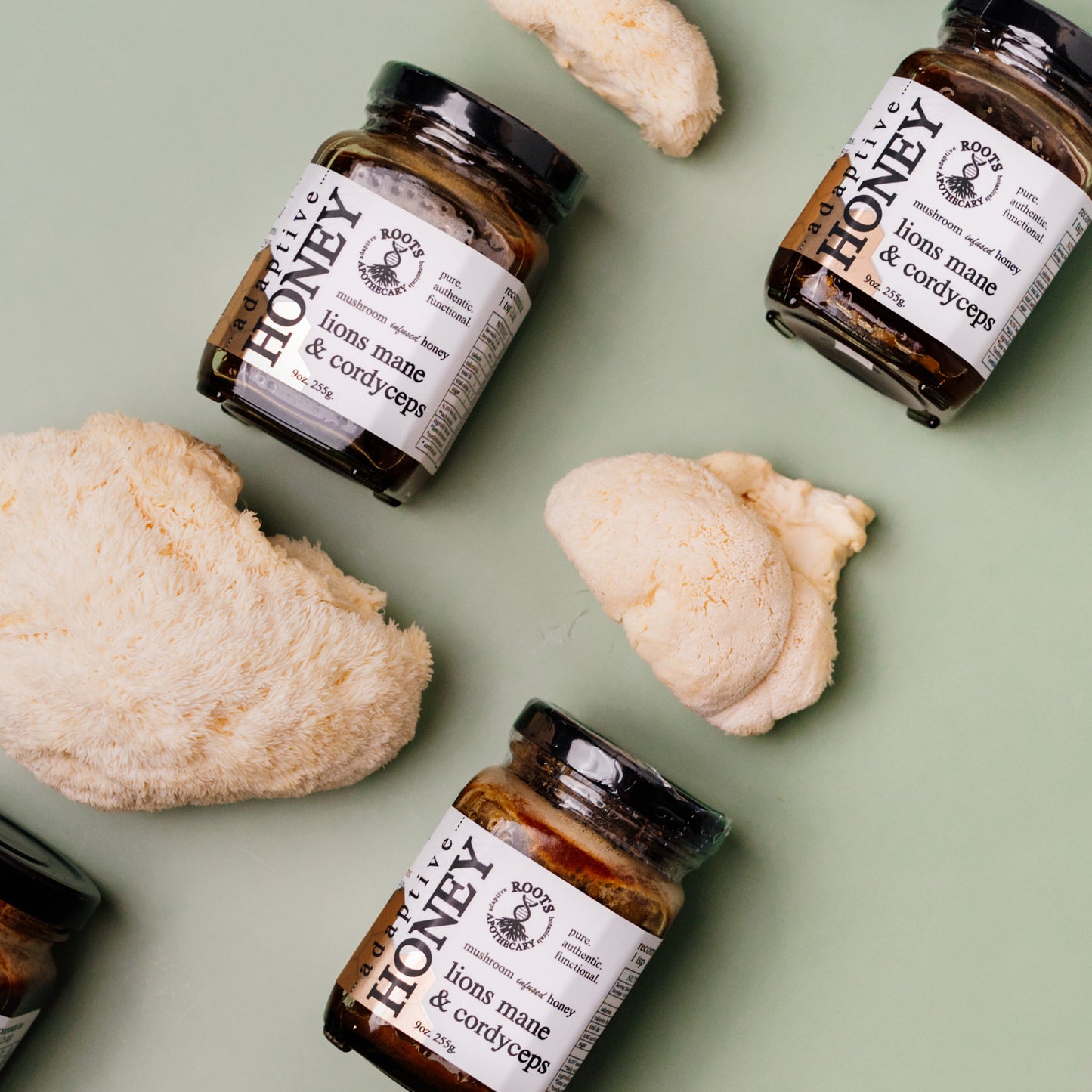 Adaptive Honey – Lion’s Mane & Cordyceps for Inner + Outer Wellness