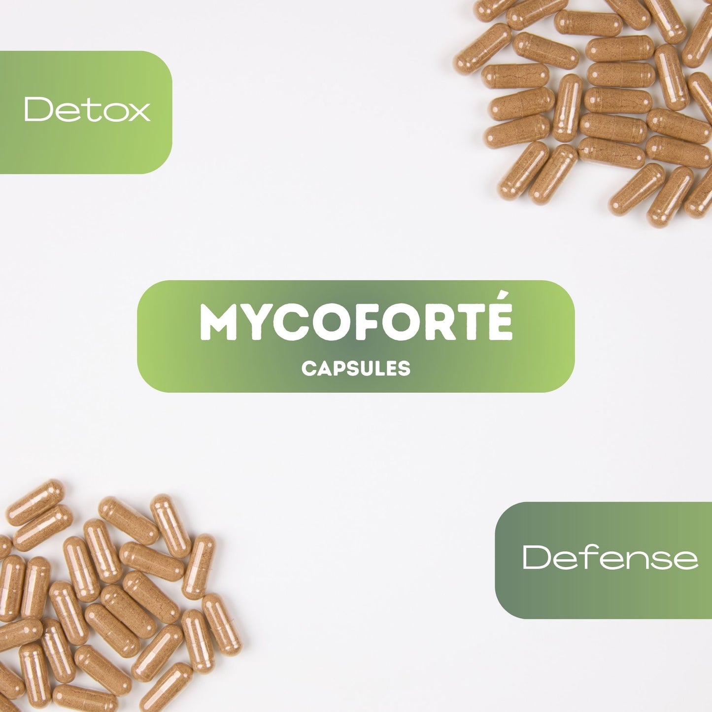 MycoForté – Mushroom Immune Blend Capsules (60 Capsules)