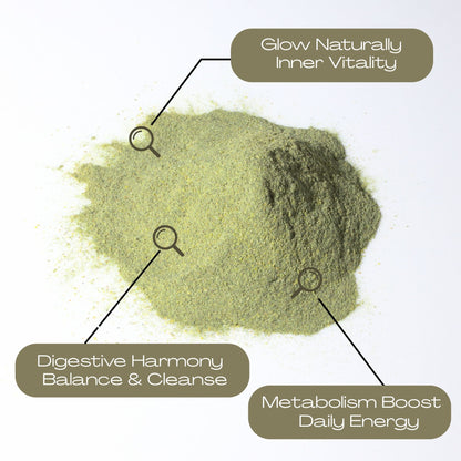 VerdeVital Powder - Pineapple Flavor (Net Weight 10.58oz)